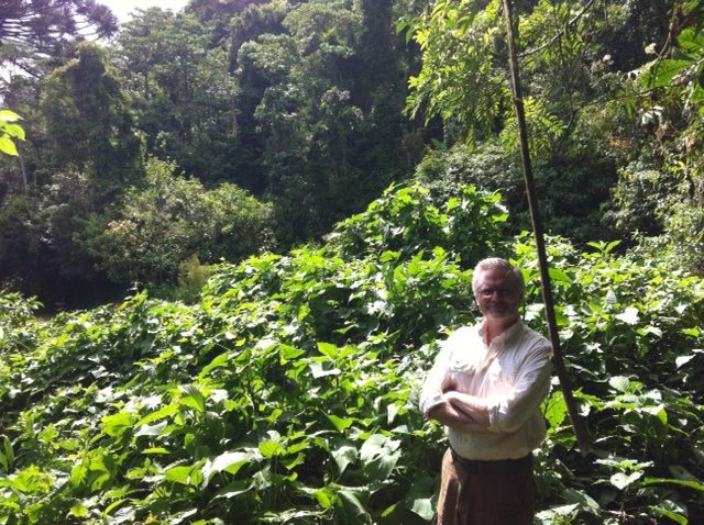 Tim of the Jungle (Photo by Nydia Macedo) Tim of the Jungle